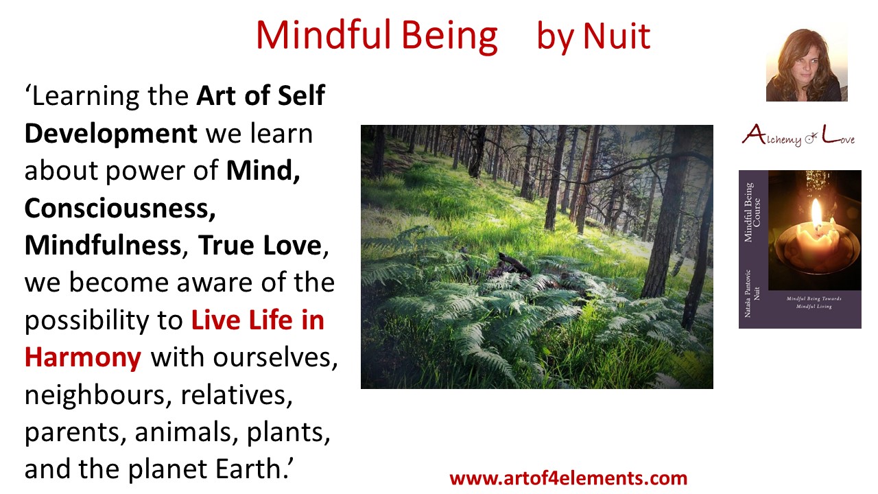 Mindful Being Mindfulness Training Quote by Nuit about Life in Harmony